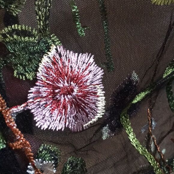 Sheer Embroidered Collared button Down Top - Picture 6 of 9